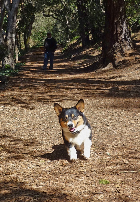 Ranger running on trail, big smile